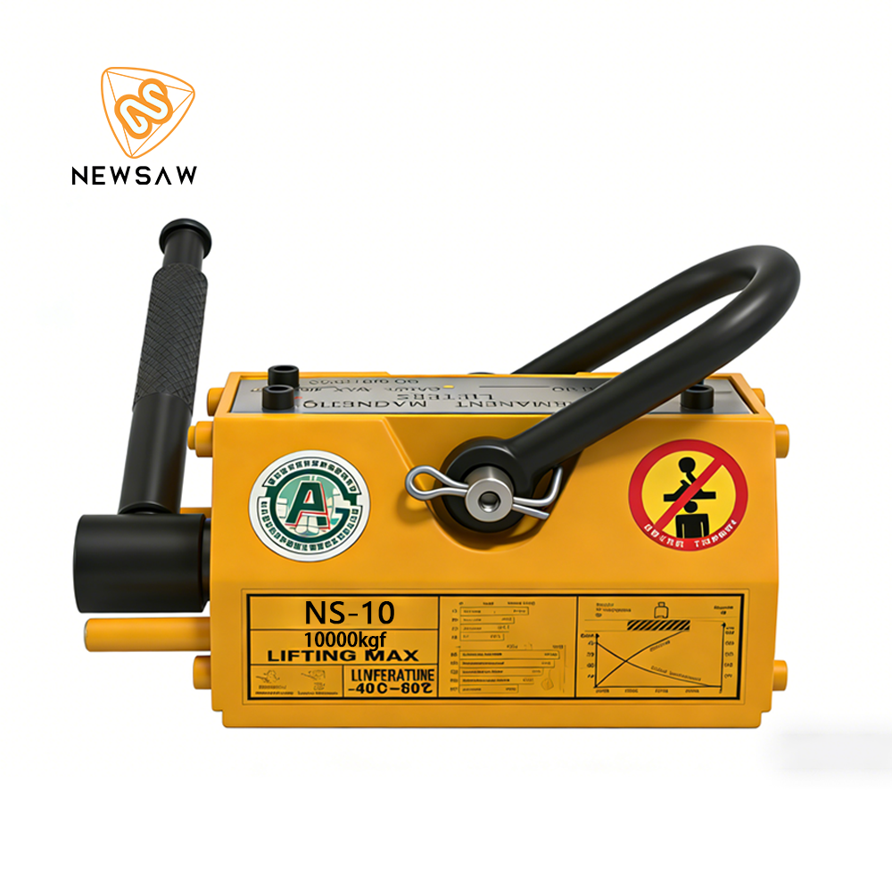 NS-10
